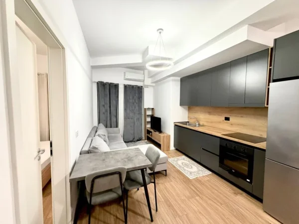 Shqiperi, jepet me qera apartament 1+1 Kati 0, 45 m² 350 € (Rruga Namik Delvina)