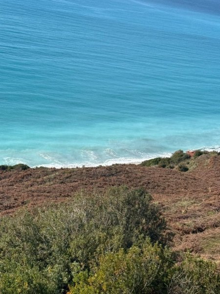 Borsh, shes toke ne bregdet , 2.026 m² 1.013.000 € (Borsh)