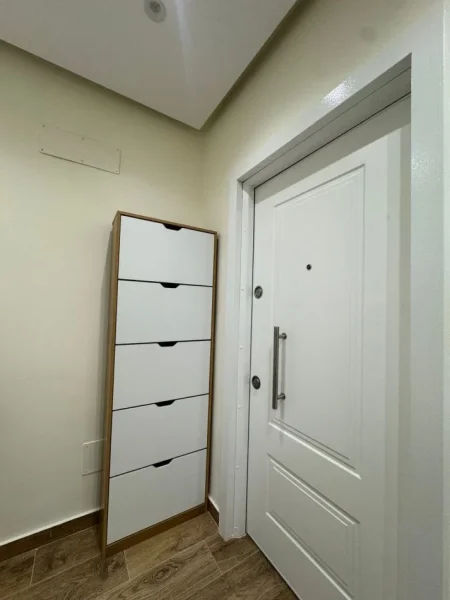 Tirane, jepet me qera apartament 1+1 Kati 3, 65 m² 726 € (Rruga Dritan Hoxha)