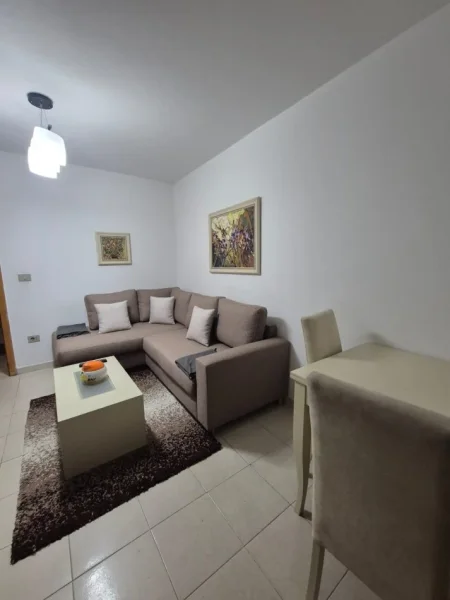 Tirane, jepet me qera apartament 1+1 Kati 5, 500 € (vasil shanto)