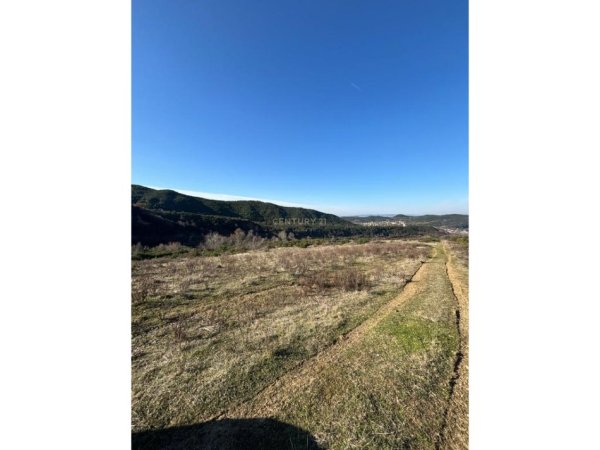 Tirane, shes toke , 20.000 m² 600.000 € 