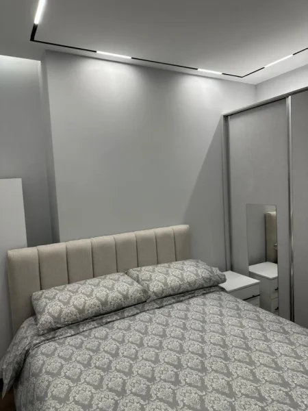 Tirane, jepet me qera apartament 2+1+Ballkon Kati 2, 100 m² 800 € (PAZARI I RI)