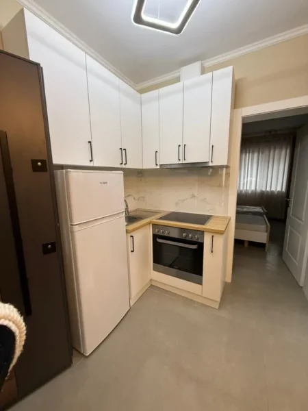 Tirane, jepet me qera Vile 1+1 Kati 1, 400 € 