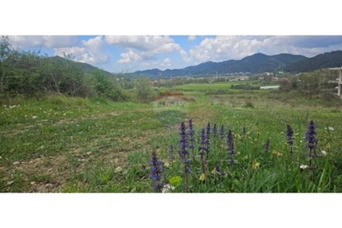 Tirane, shitet toke , 2.000 m² 