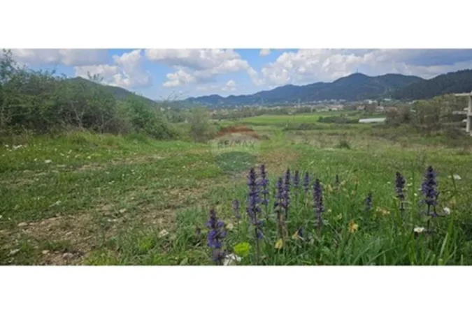 Tirane, shitet toke , 2.000 m² 