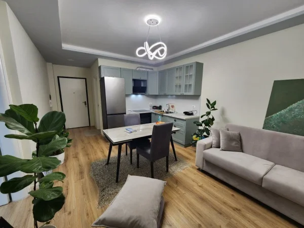 Tirane, jepet me qera apartament 1+1 Kati 5, 70 m² 550 € (FRESKU)