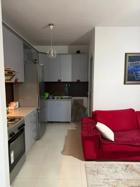 Tirane, jepet me qera apartament 1+1+Aneks+Ballkon Kati 7, 50 m² 450 € 