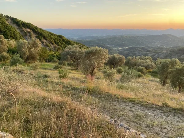 Tirane, shitet toke , 4.000 m² 300.000 € (petrele)