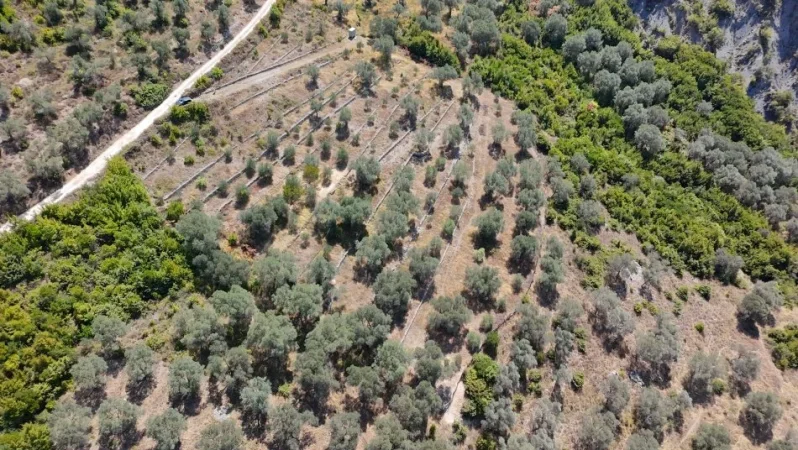 Tirane, shitet toke , 4.000 m² 300.000 € (petrele)