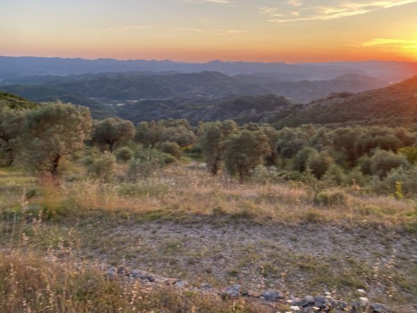 Tirane, shitet toke , 4.000 m² 300.000 € (petrele)