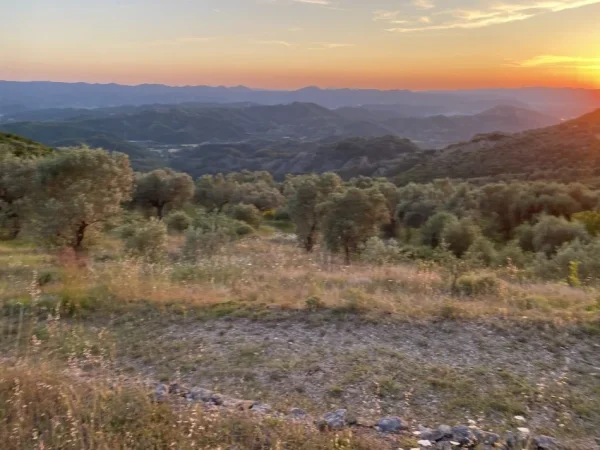 Tirane, shitet toke , 4.000 m² 300.000 € (petrele)