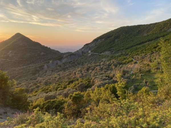 Tirane, shitet toke , 4.000 m² 300.000 € (petrele)