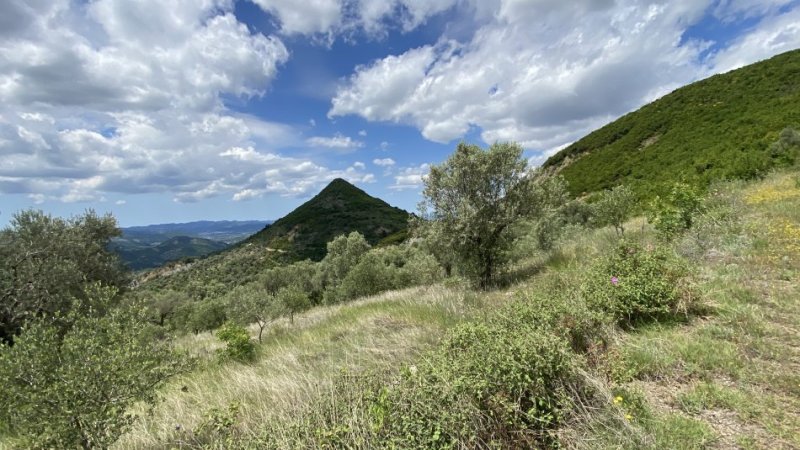 Tirane, shitet toke , 4.000 m² 300.000 € (petrele)