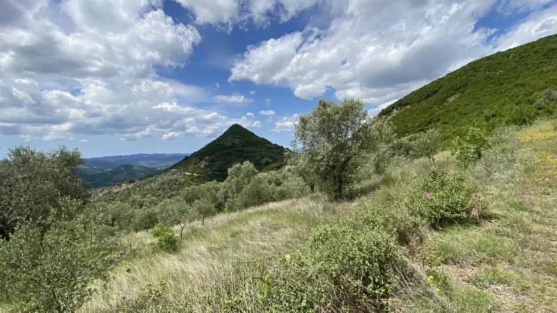 Tirane, shitet toke , 4.000 m² 300.000 € (petrele)