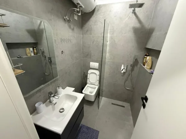 Tirane, jepet me qera 1+1 Kati 5, 500 € 