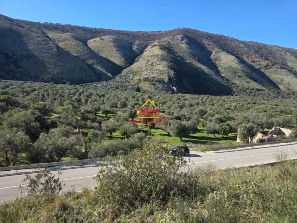 Himare, shitet toke , 5.000 m² 70.000 € (Qeparo)