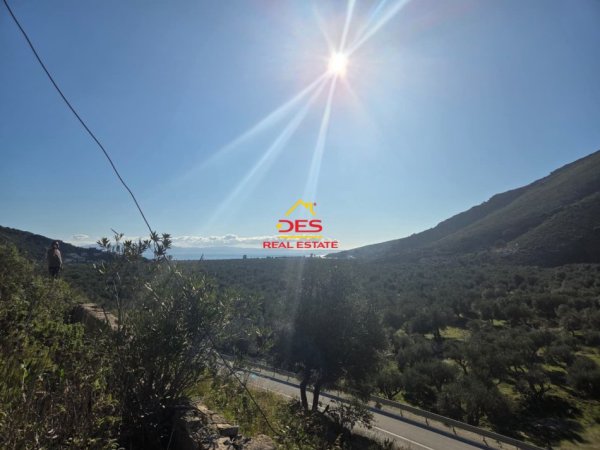 Himare, shitet toke , 5.000 m² 70.000 € (Qeparo)