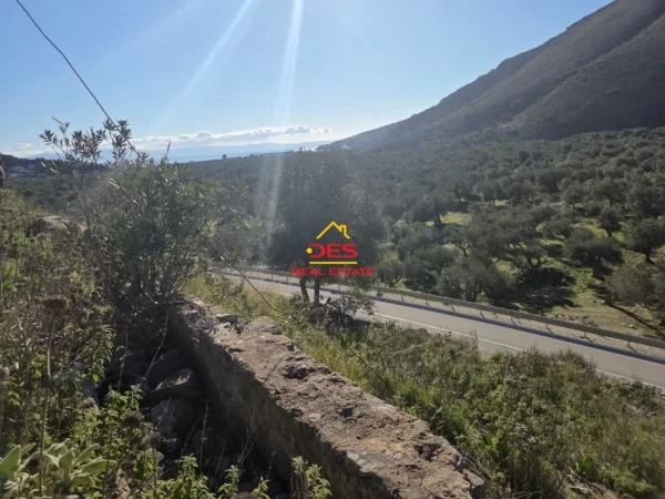 Himare, shitet toke , 5.000 m² 70.000 € (Qeparo)