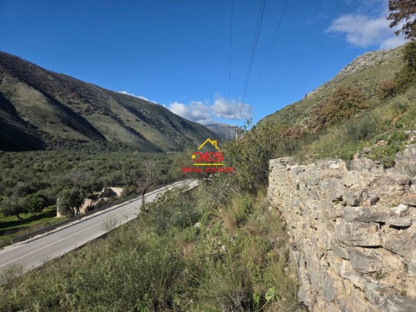 Himare, shitet toke , 5.000 m² 70.000 € (Qeparo)