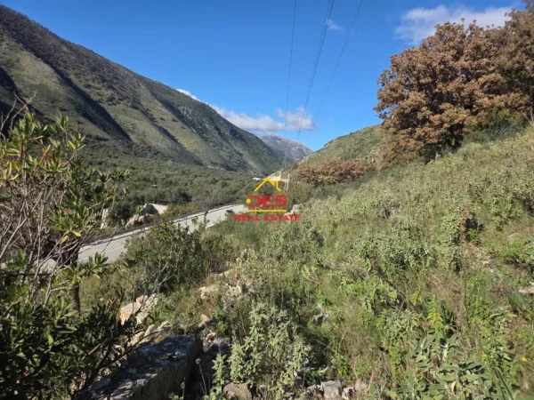 Himare, shitet toke , 5.000 m² 70.000 € (Qeparo)