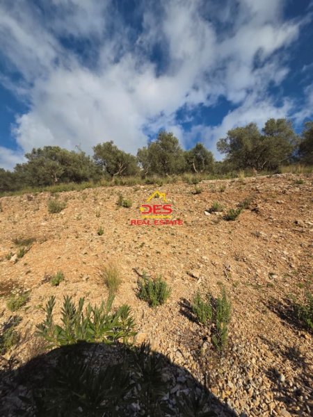 Himare, shitet toke , 5.000 m² 70.000 € (Qeparo)