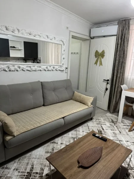 Tirane, jepet me qera apartament 1+1 Kati 1, 50 m² 520 € (Rruga e Dibres)