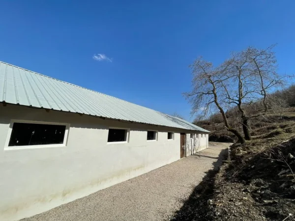 Tirane, jepet me qera magazine Kati 0, 700 m² 1.000 € (Dajt)