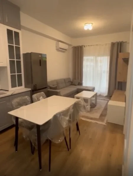 Tirane, jepet me qera apartament 1+1+Ballkon Kati 5, 48 m² 450 € (Kompleksi Kadiu, Mangalem21)