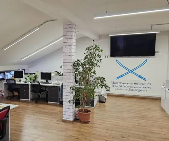 Tirane, jepet me qera ambjent biznesi Kati 2, 311 m² 3.000 € (Juvenila)