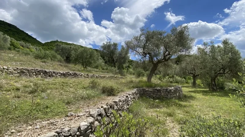 Tirane, shitet toke , 4.000 m² 300.000 € (petrele)