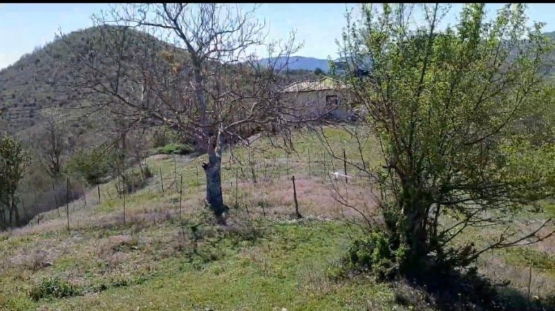 SHTEPI E VJETER (300M²+1300 M² TOKE) , 8.000.000 € (Baldushk)