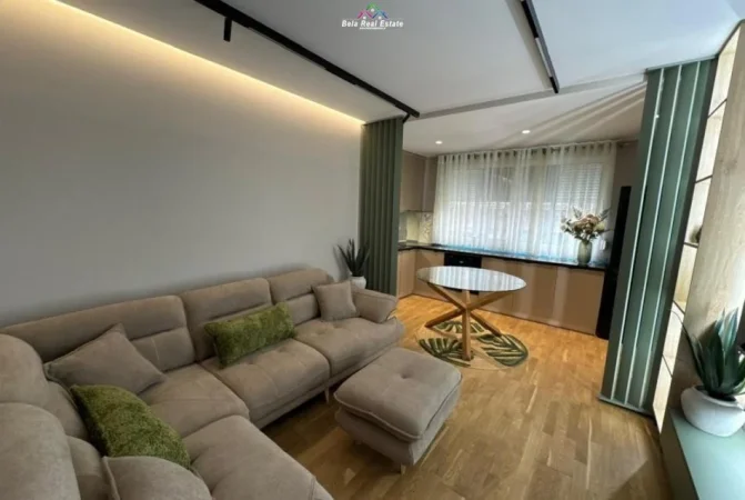 Tirane, jepet me qera apartament 1+1 Kati 2, 75 m² 900 € (Rruga Shyqyri Brari)