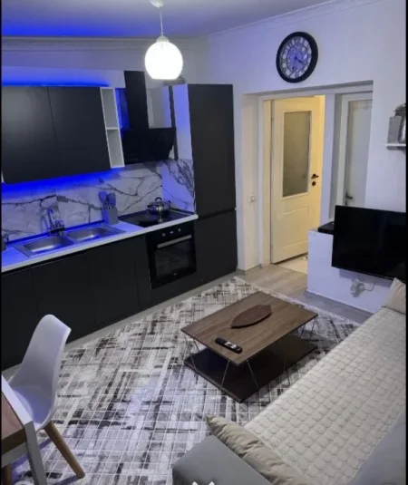 Tirane, jepet me qera apartament 1+1 Kati 1, 50 m² 500 € (Shkolla e Bashkuar)