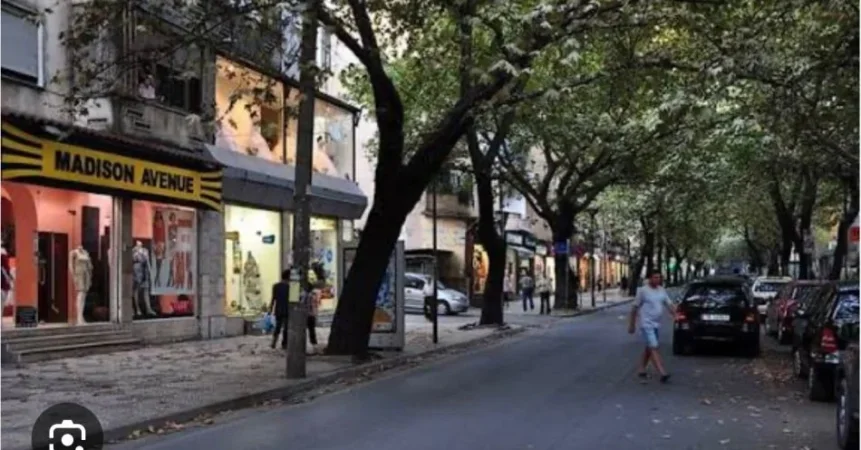 Tirane, jepet me qera lokal Kati 0, 140 m² 5.000 € (Sheshi Willson)