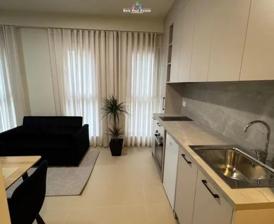 Tirane, jepet me qera garsonier 1+1 Kati 3, 43 m² 465 € (Rruga Dritan Hoxha)