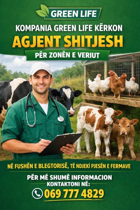 WhatsApp Image 2026-02-09 at 08.57.38.jpeg