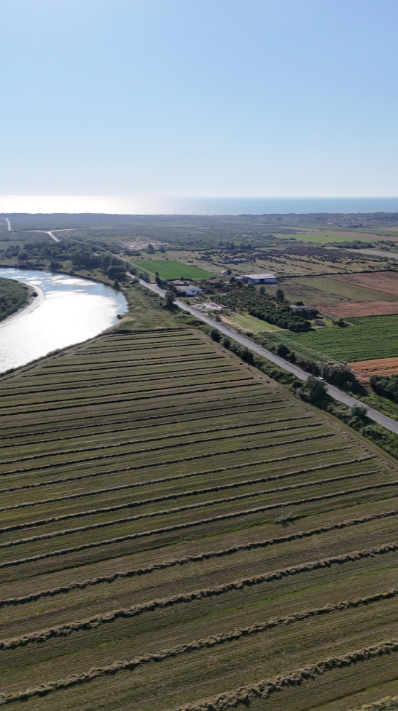 Kavaje, shes toke , 18.132 m² 725.280 € (Vile-Bashtove)