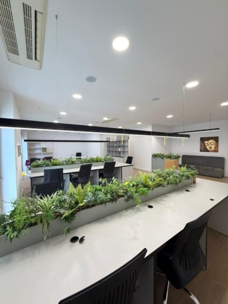 WhatsApp Image 2026-02-07 at 4.22.40 AM (3).jpeg