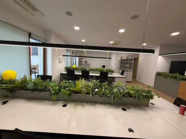 Tirane, jepet me qera zyre Kati 5, 180 m² 3.000 € (Kompleksi Delijorgji)