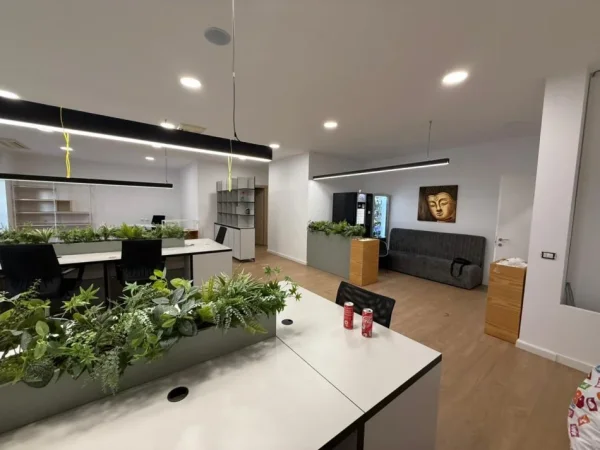 Tirane, jepet me qera zyre Kati 5, 180 m² 3.000 € (Kompleksi Delijorgji)