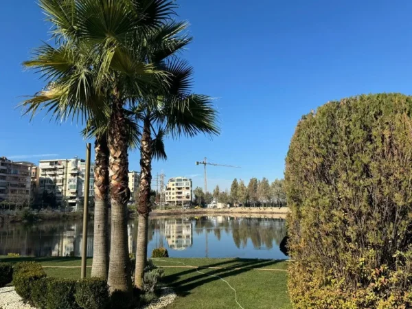 Tirane, jepet me qera 2+1+Ballkon Kati 1, 60 m² 750 € (buzë Liqenit të Thatë)