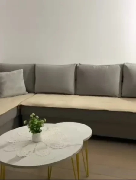 Tirane, jap me qera apartament 1+1+Ballkon Kati 1, 80 m² 500 € (Kopshti Zoologjik)