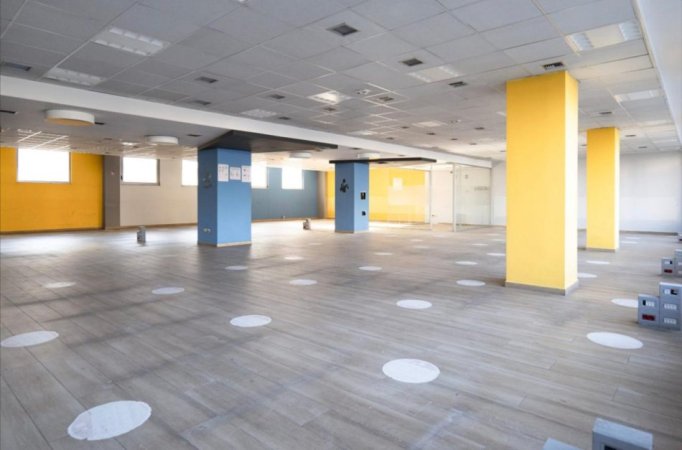 WhatsApp Image 2026-02-09 at 10.38.00 AM.jpeg