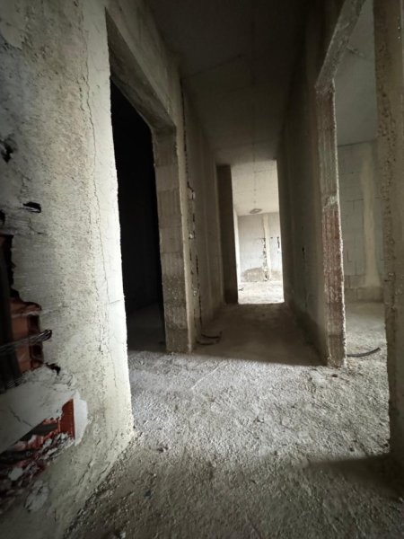 WhatsApp Image 2026-01-24 at 4.46.34 AM (3).jpeg