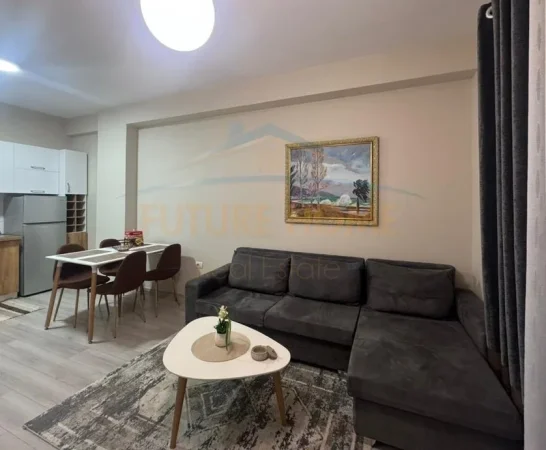 Qira, Apartament 1+1, Porcelan, Tiranë