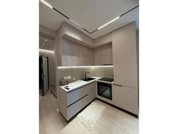 Tirane, jepet me qera apartament 1+1 Kati 7, 60 m² 1.000 € (Liqeni Tiranes)