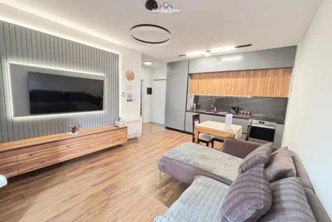 Tirane, jepet me qera apartament 1+1 Kati 4, 55 m² 730 € (komuna e parisit)