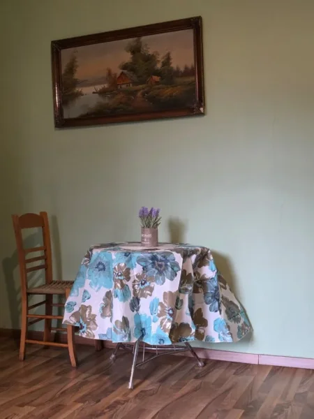 Tirane, jepet me qera Vile 1+1 Kati 1, 78 m² 520 € (Rruga Reshit Collaku)