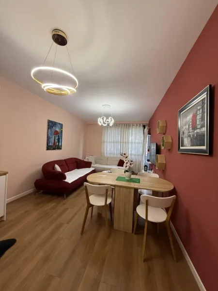 Tirane, jepet me qera apartament 1+1+Ballkon Kati 1, 70 m² 750 € (Rruga e Barrikadave)