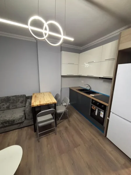 Tirane, jepet me qera apartament 1+1 Kati 4, 400 € (Rruga Loni Ligori)
